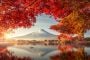 Japan thumbnail