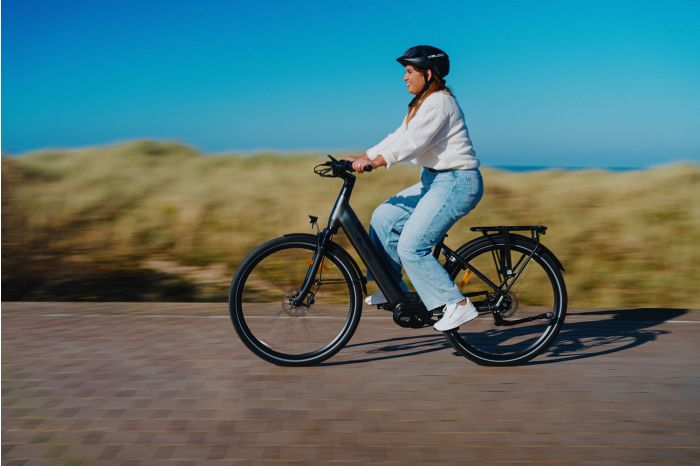 Elektrische fiets Solid Plus - Veloci