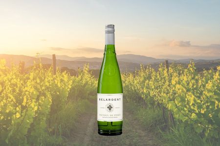 Belardent Picpoul de Pinet